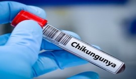 A Vitrolles, cet été, c’est un biologiste qui a boosté la mobilisation de tous les acteurs de la ville contre l’épidémie de chikungunya