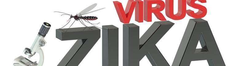 Le virus Zika présent dans la salive et l&#039;urine 