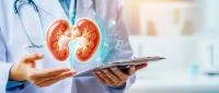 Journée mondiale du rein. Il est temps de passer à la vitesse supérieure sur le dépistage de la maladie rénale chronique : les biologistes proposent une solution activable immédiatement