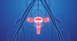 Les enjeux du dépistage du cancer de l&#039;utérus