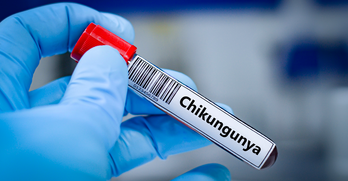 SDBIO_Chikungunya_AdobeStock_1492424892.png