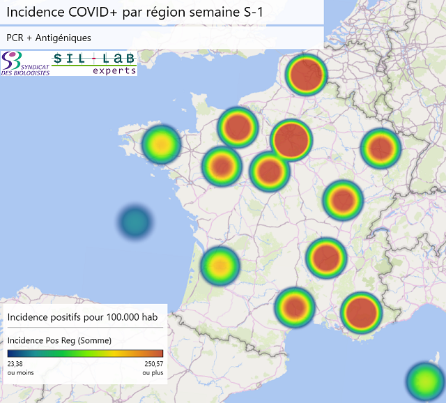 Incidence pos reg 2021 S12